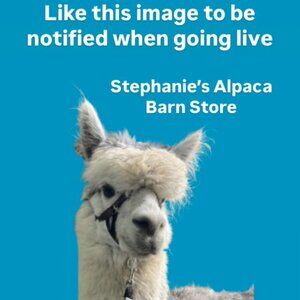 I AM LIVE-LIKE TO BE NOTIFIED WHEN I am LIVE